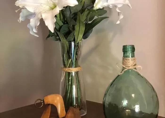 Casa Guelu * Soberron